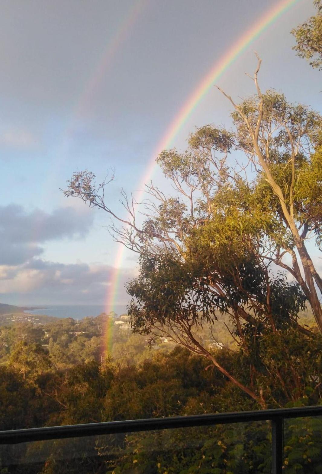 Blissful Valley Lookout - The Home Among The Trees Anglesea Exterior photo